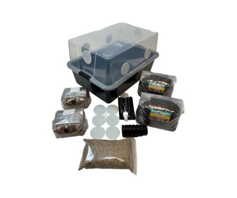 Mushroom Substrate Kit Large 1200 ml