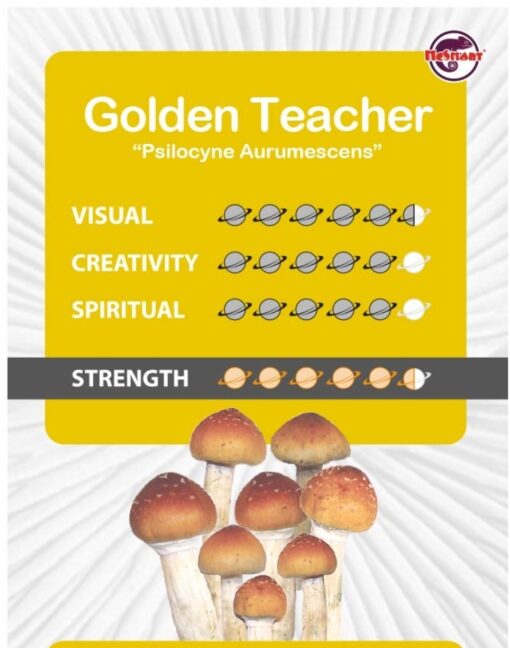 Magic Mushroom Grow Kit Golden Teacher XL by Mondo