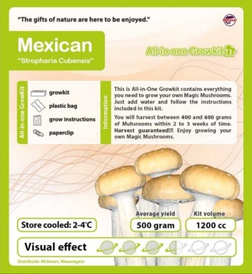 Magic Mushroom Grow Kit Mexican by Mondo