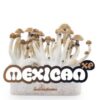 Fresh Mushrooms® Magic Mushroom Grow Kit Mexican XP