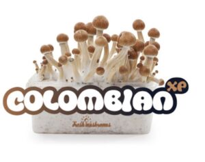 Magic Mushroom Grow Kit Colombia XP by FreshMushrooms®