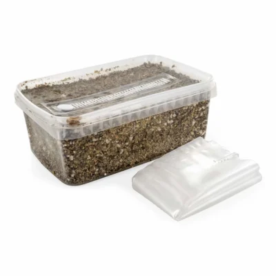 mushroom substrate kit