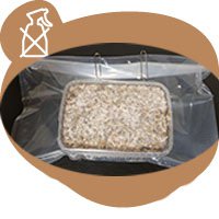 grow your own magic mushroom from our quality growkits